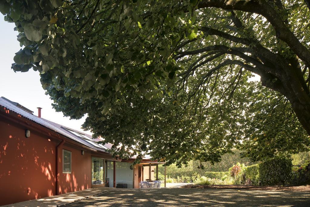 Quinta Da Tilia Boutique Retreat Guest House Capelas Eksteriør bilde